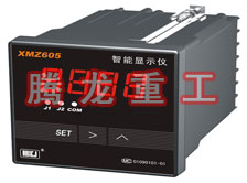 溫度表、數(shù)字顯示儀、濕度表