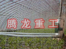 大棚花卉供暖設(shè)備、大棚卉采暖設(shè)備、大棚花卉取暖設(shè)備
