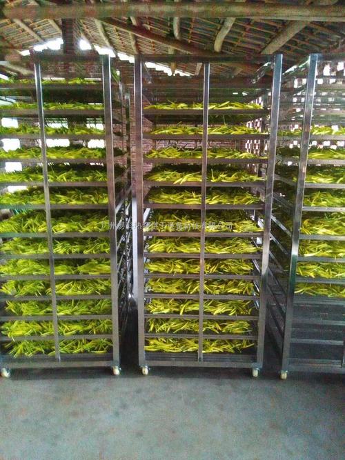 黃花菜烘干機、黃花菜烘干設(shè)備、黃花菜干燥機、黃花菜干燥設(shè)備、